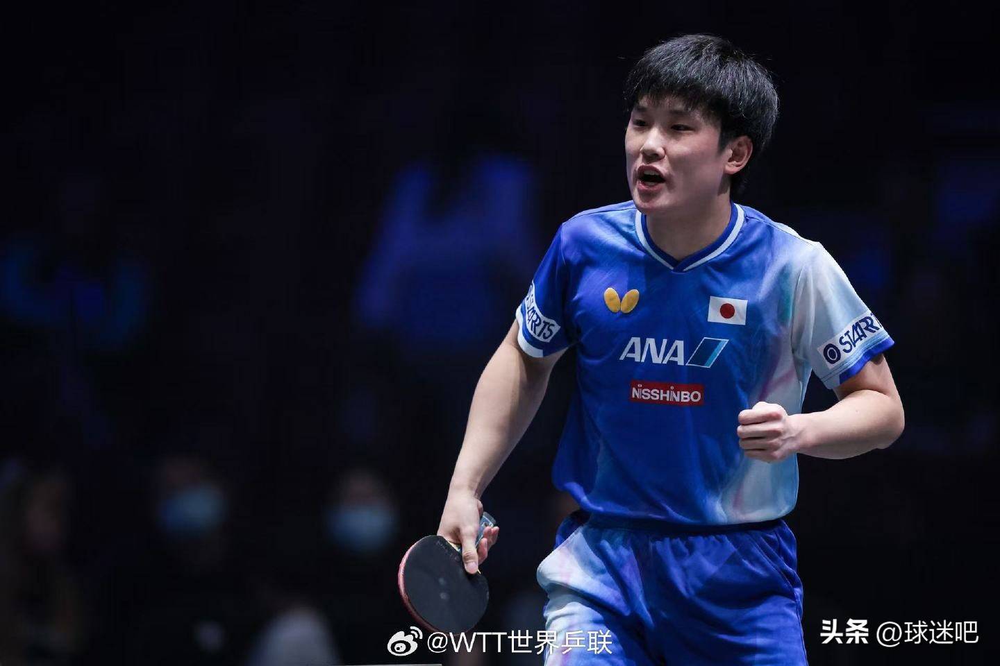 法国队绝杀波兰队,张本智和带队取胜 法国队绝杀波兰队,张本智和带队取胜